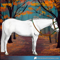 Horse Color:Gray Bay Dun Sabino Tobiano