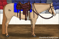 Horse Color:Red Dun Splash 