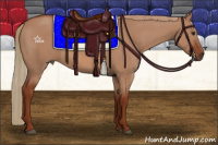 Horse Color:Red Dun Sabino 