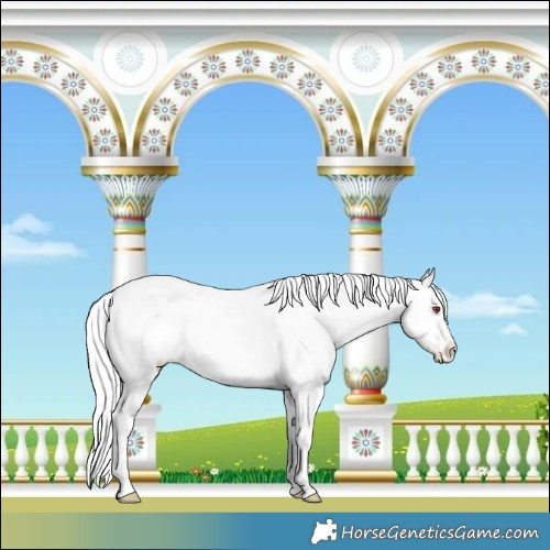 Horse Color:White Spotted Silver Buckskin Chinchilla Ice Pearl Onyx Tobiano 