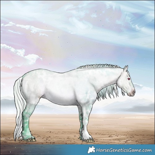 Horse Color:Watercolor White Spotted Silver Brown Chinchilla Ice Dun 