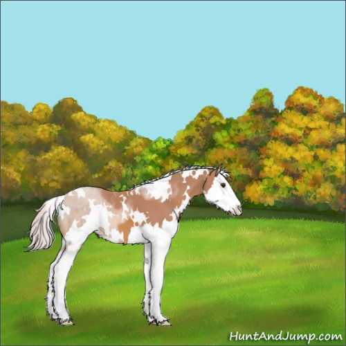 Horse Color:Watercolor White Spotted Silver Bay Splash 