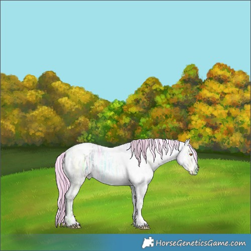 Horse Color:Painted White Spotted Chocolate Silver Grullo Chinchilla Ice Onyx 