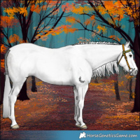 Horse Color:Gray Grullo Sabino Tobiano Rabicano