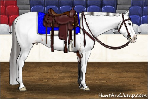 Horse Color:Brown Sabino Appaloosa