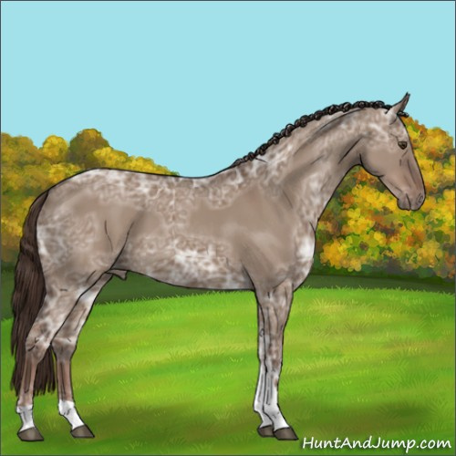 Horse Color:Liver Red Dun Ice Tobiano 