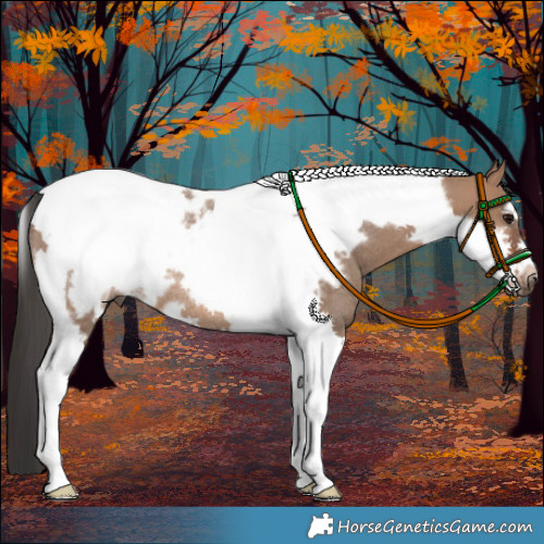 Horse Color:Brown Dun Tobiano Frame Rabicano 