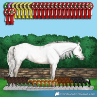 Horse Color:Gray White Spotted Silver Classic Cream Champagne Splash Appaloosa 