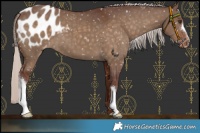 Horse Color:Chocolate Silver Brown Dun Blanket