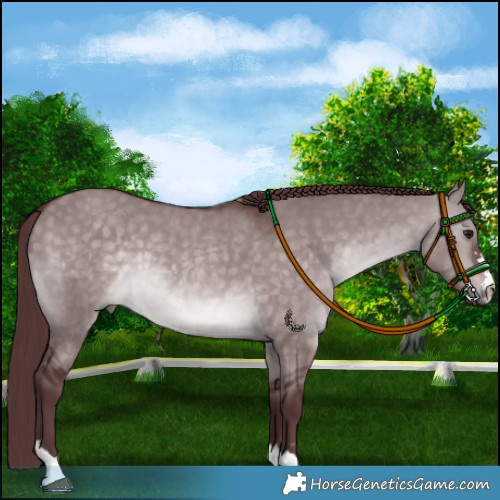 Horse Color:Platinum Chocolate Brown Dun Rabicano 
