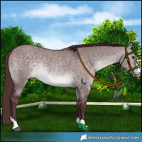 Horse Color:Platinum Chocolate Brown Dun Rabicano 