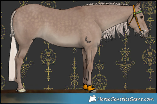 Horse Color:Chocolate Silver Grullo