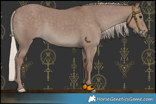 Horse Color:Chocolate Silver Grullo 