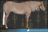 Horse Color:Chocolate Silver Grullo 