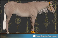 Horse Color:Chocolate Silver Grullo