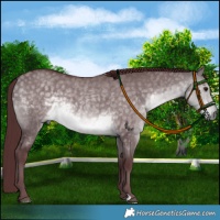 Horse Color:Platinum Chocolate Buckskin Dun 