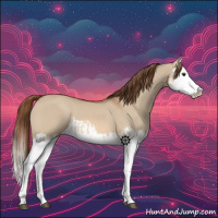 Horse Color:Red Dun Splash and Red Dun Splash