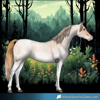 Horse Color:White Spotted Red Roan 