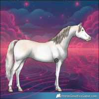 Horse Color:White Spotted Perlino Splash and White Spotted Perlino Splash