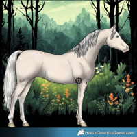 Horse Color:Cremello 