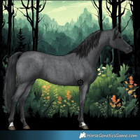 Horse Color:Blue Roan 