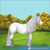 Horse Color:Chestnut Sabino