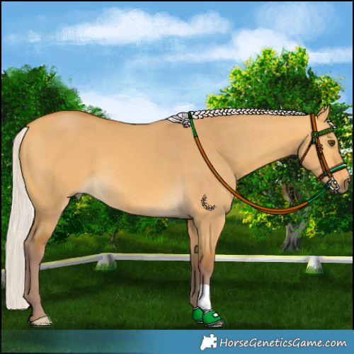 Horse Color:Chocolate Silver Buckskin Dun 