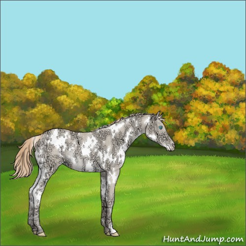 Horse Color:White Spotted Perlino Ice Dun Rabicano 