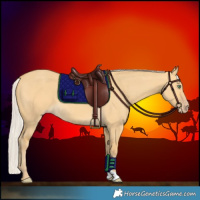 Horse Color:Silver Sable Cream Champagne Dun 