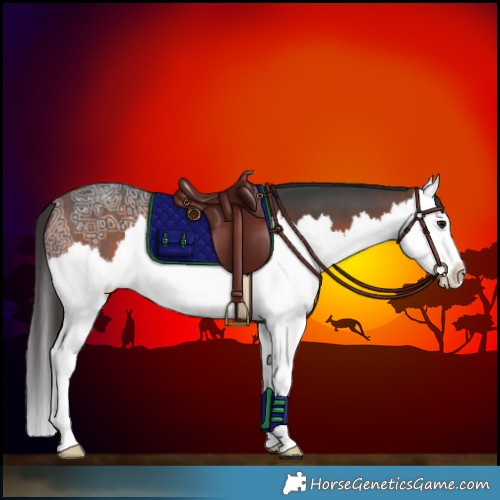 Horse Color:Bay Ice Splash 