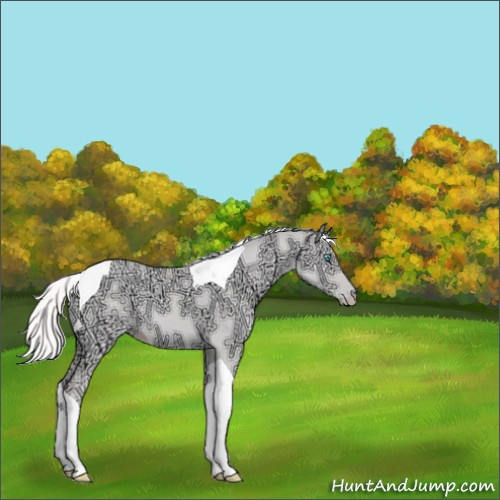Horse Color:Silver Perlino Ice Dun Tobiano 