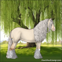 Horse Color:Silver Classic Champagne Dun Splash Frame 