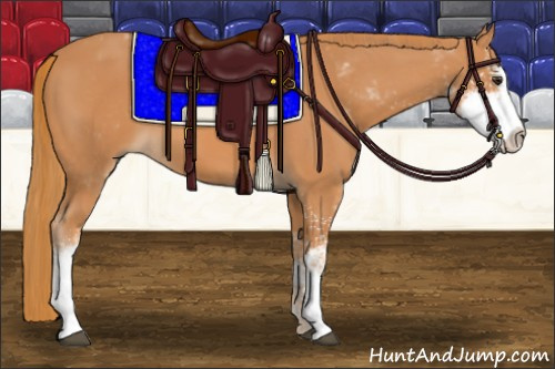 Horse Color:Chestnut Sabino 