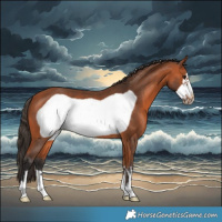 Horse Color:Bay Frame 