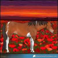 Horse Color:Bay Tobiano 