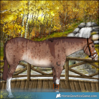 Horse Color:White Spotted Chocolate Brown Dun Rabicano Brindle 
