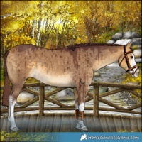 Horse Color:White Spotted Chocolate Buckskin Dun Brindle