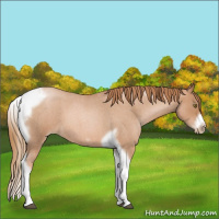 Horse Color:Red Roan Pearl Tobiano Frame 
