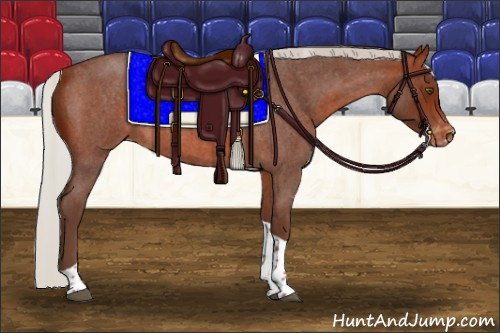 Horse Color:Silver Brown Roan Tobiano Appaloosa 