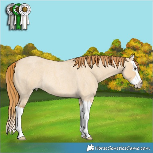 Horse Color:Red Dun Roan Splash Rabicano 
