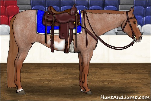 Horse Color:Red Roan Frame 