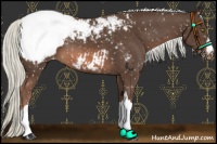Horse Color:Liver Chestnut Mushroom Snowcap 