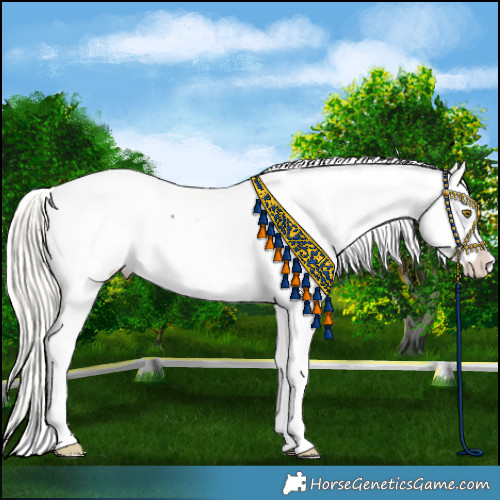 Horse Color:Liver Chestnut Mushroom Appaloosa 