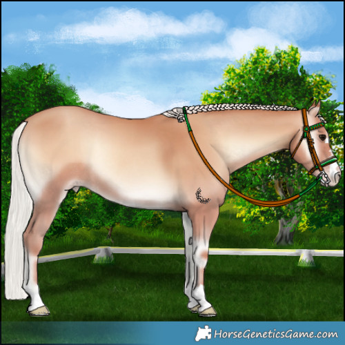 Horse Color:Silver Classic Champagne Onyx Rabicano 