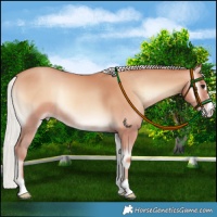 Horse Color:Silver Classic Champagne Onyx Rabicano 