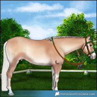 Horse Color:Silver Classic Champagne Onyx Rabicano 