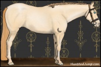 Horse Color:Chocolate Buckskin Pearl 
