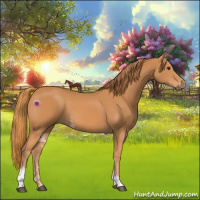 Horse Color:Chestnut Sabino