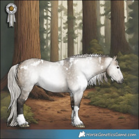 Horse Color:Gray White Spotted Silver Brown Dun Rabicano 