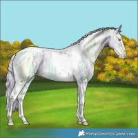 Horse Color:Watercolor Chocolate Palomino Ice Pearl Splash Tobiano 